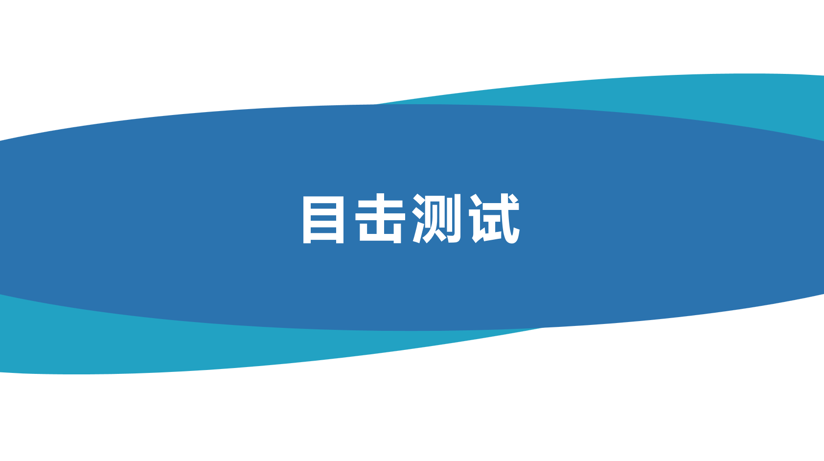 目击测试